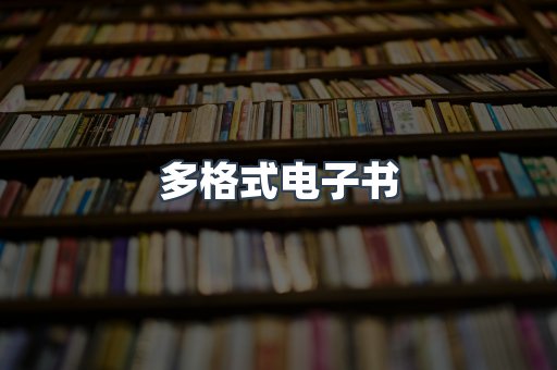 多格式电子书
